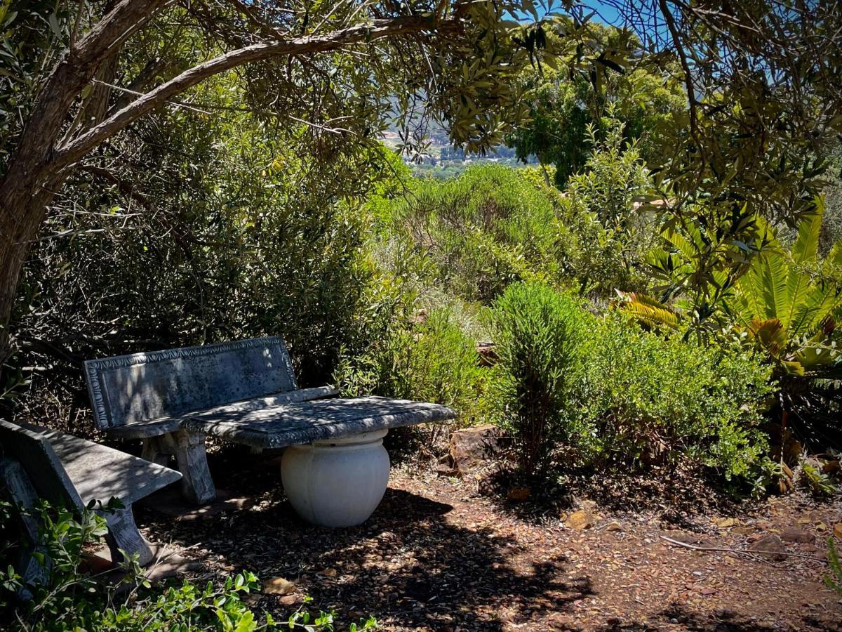 Windrose, Noordhoek, Sensationeller Meerblick Kaapstad Buitenkant foto