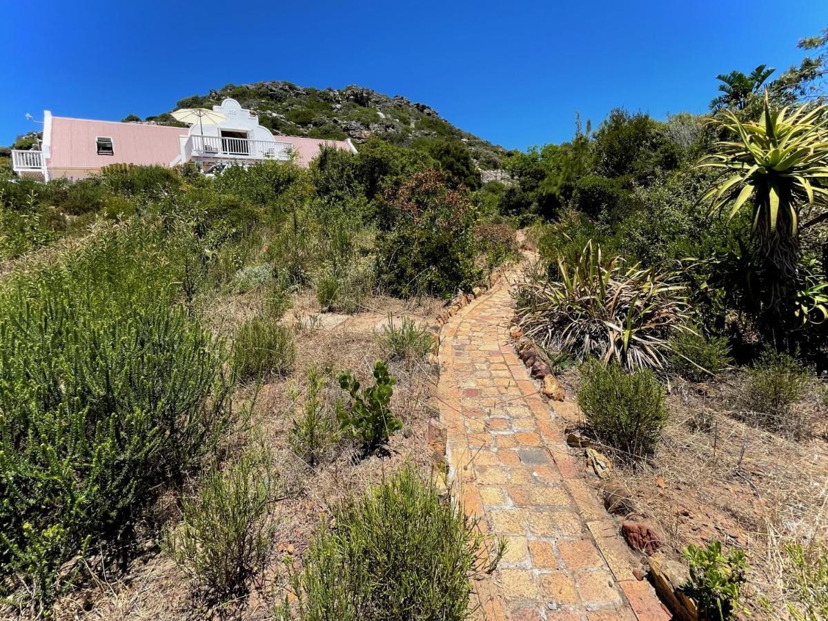 Windrose, Noordhoek, Sensationeller Meerblick Kaapstad Buitenkant foto